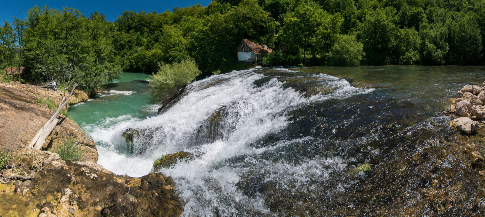 MREZNICA4 SUSNJAR PANORAMA